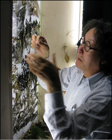 2012英國BBC:大英博物館里的神奇“國畫”[1]2