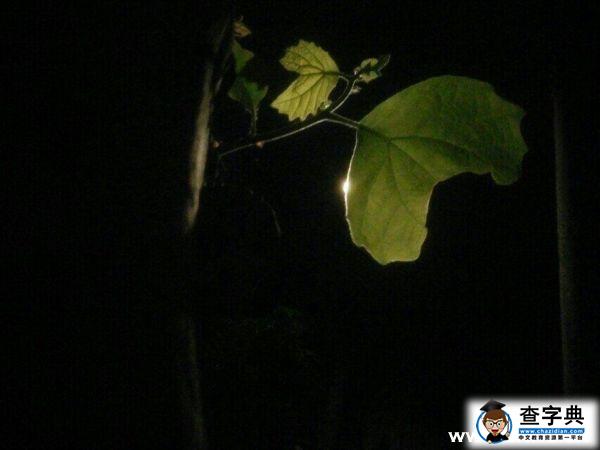 拼搏考研路，孤獨盡頭的一曲絕唱！1