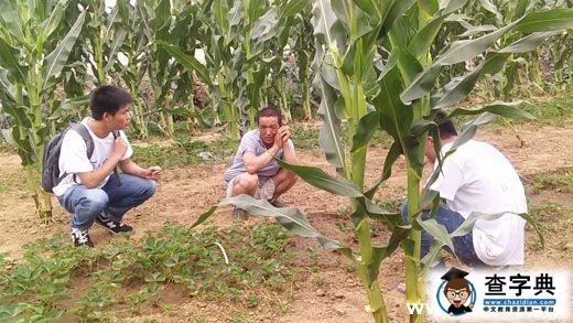 河北科技師范學院大學生暑期社會實踐活動有聲有色3