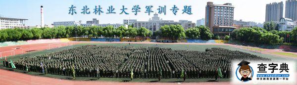 東北林大軍訓集結號吹響訓練號角1