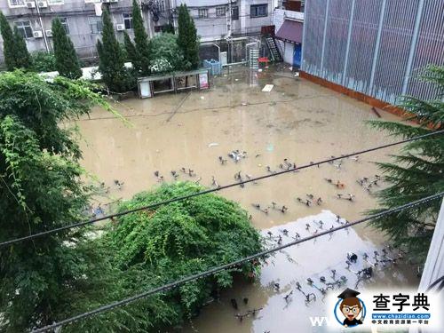 “大暑”當日暴雨到 師生情濃共“抗洪”1