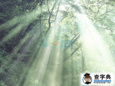 我思故我在：不要成為你思想的奴隸1