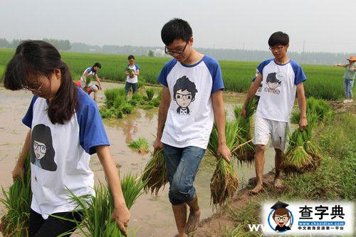 湖南農大學子體驗農民生活2