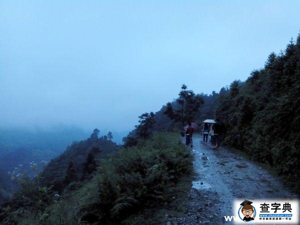 華中農大“小火苗”——放學路上1