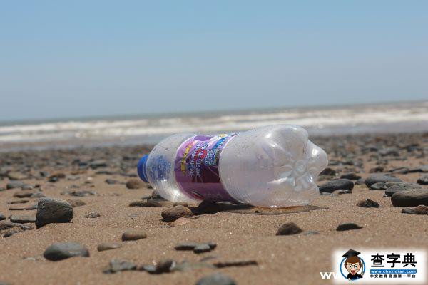 大學生海島“無白”環保公益行動足跡遍布舟山群島2