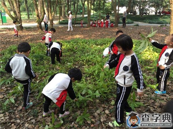 擁抱秋天 東園嬰幼園秋游活動2