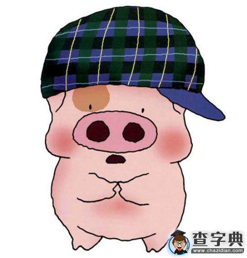 奮斗中的“麥兜族” 積極樂觀為房奮斗1