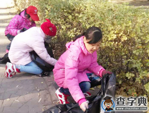 哈爾濱少年志愿者服務平臺成效顯著2