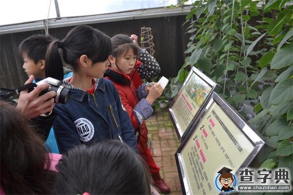 井大紅志班與明德小學攜手井大校園行1