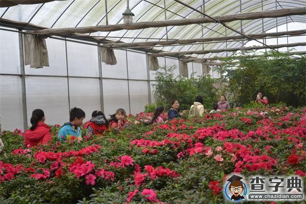 井大紅志班與明德小學攜手井大校園行3