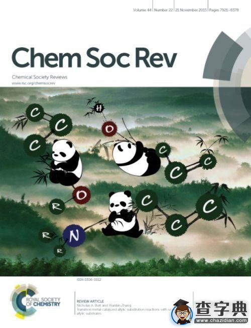 上海交通大學團隊在《Chemical Society Reviews》發表封面論文1