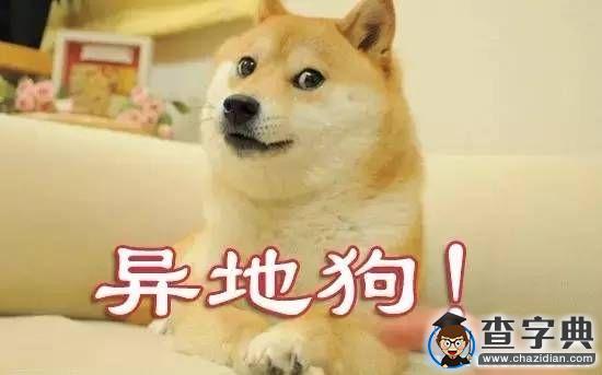 雙11，你是秀恩愛還是秀快遞單？4