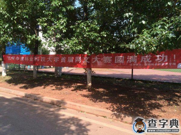 中南林業科技大學首屆“網絡文化節”啟動2