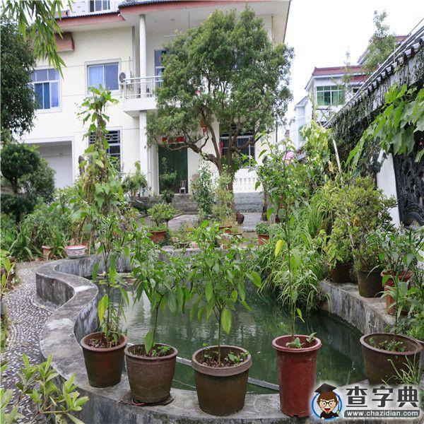 浙江樹人大學人文學院“精神探訪”暑期走進“醉美”開化10