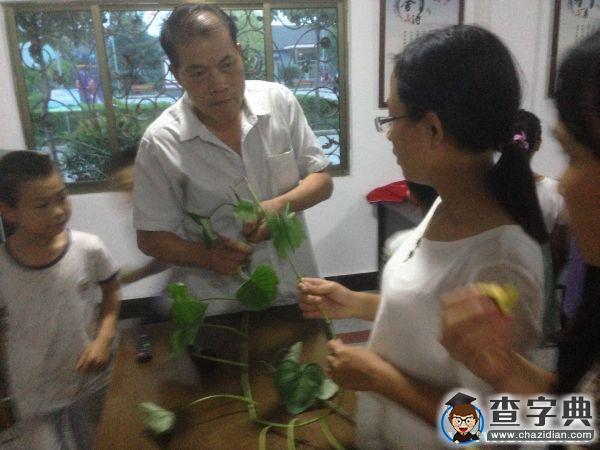 浙里正青春｜如何種好甘薯？農林學子來支招2