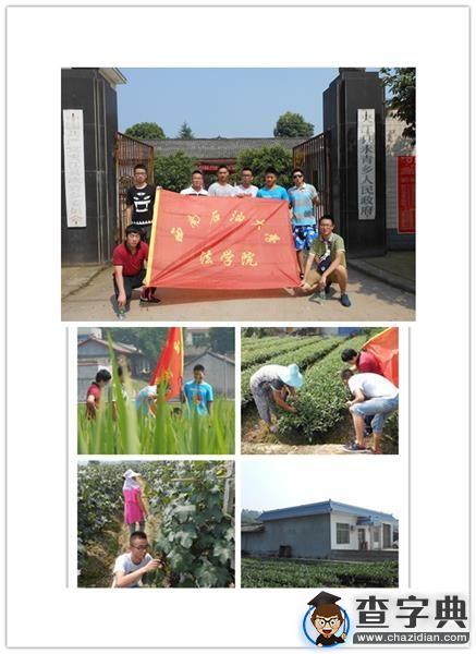 西南石油大學：聚焦三農 走進樂山夾江1