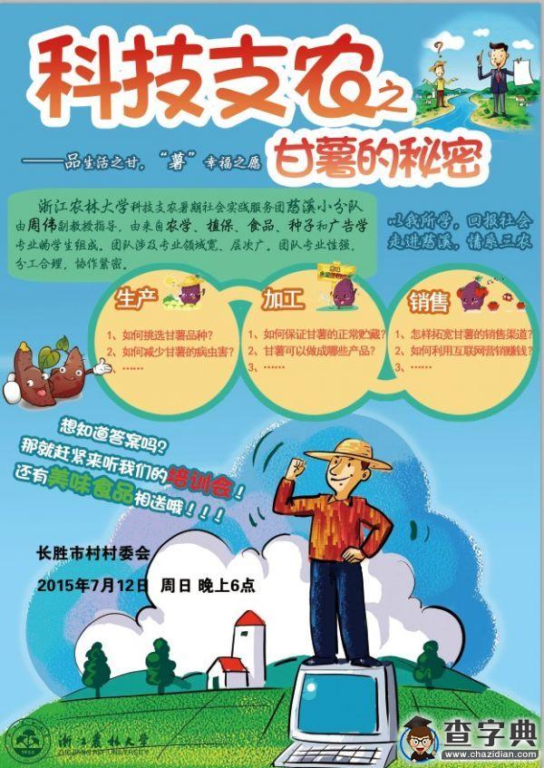 浙里正青春｜如何種好甘薯？農林學子來支招1