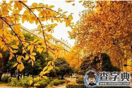 這有一份成績單 請查收10