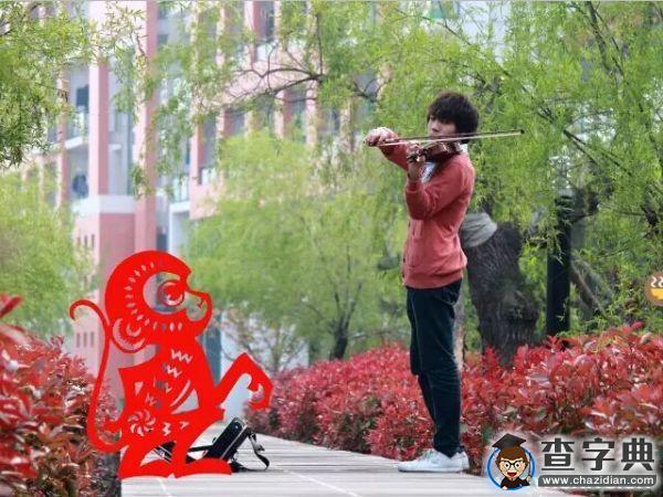 嗨 給你一顆石大“猴腮雷”12