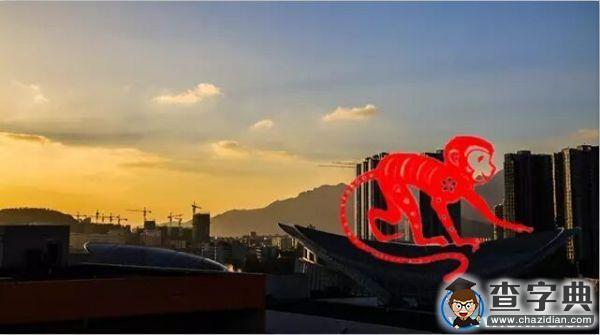 嗨 給你一顆石大“猴腮雷”8