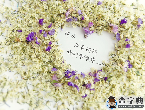 跟爸媽說句心里話5