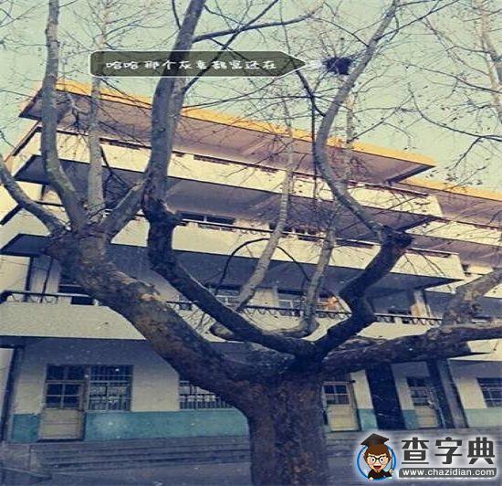 時間沖不走的美好4