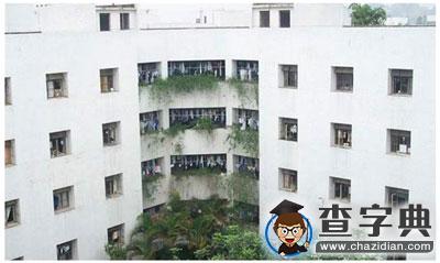 高校豪華宿舍大揭秘！3
