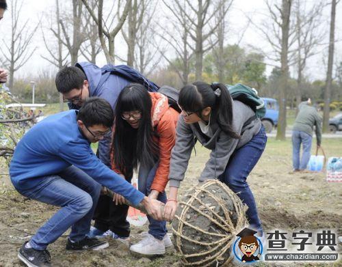 植樹節：電子科技大學新栽367株“垂絲海棠”6