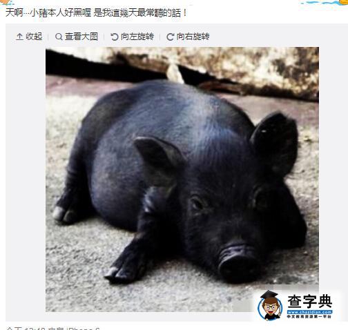 羅志祥自稱被人嫌黑 曬黑豬圖片遭網友調侃1