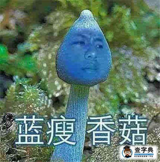 藍瘦香菇被搶注 藍瘦香菇是什么意思6