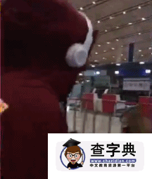 陳偉霆機場救跌倒老奶奶視頻  陳偉霆機場救跌倒老奶奶網友被暖哭2