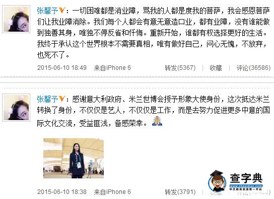 張馨予任世博大使遭謾罵 回應：問心無愧2