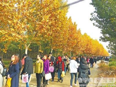 2017考研報名人數：鄭州網上報名人數達2萬多1